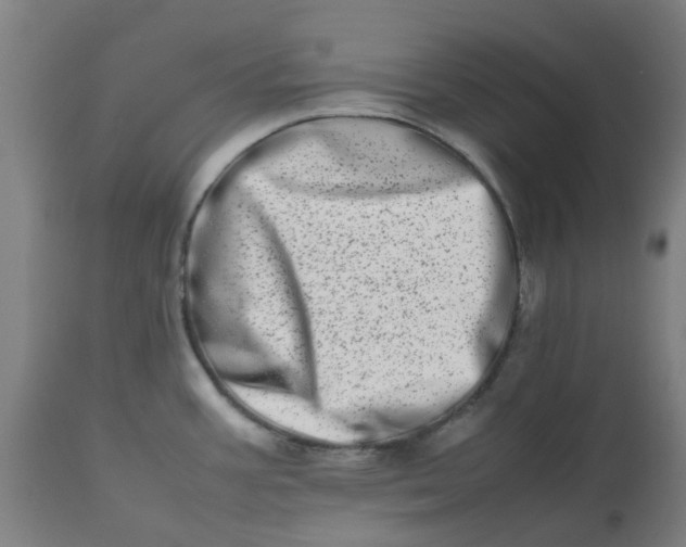 X0000112491387200909071211