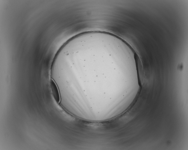 X0000112491388200909071211