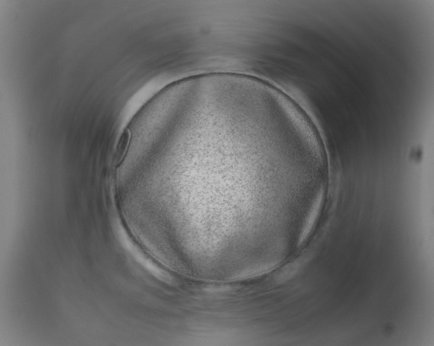 X0000112491389200909071211