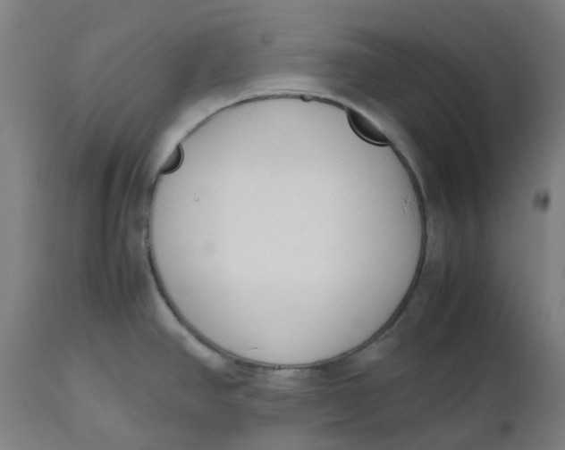 X0000112491390200909071211