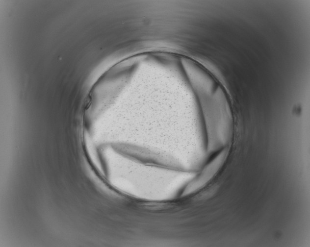 X0000112491391200909071211