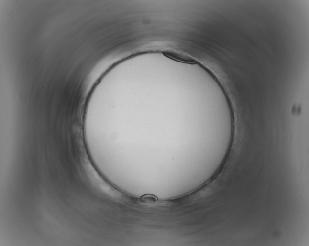 X0000112491392200909071211