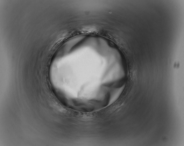 X0000112491393200909071210