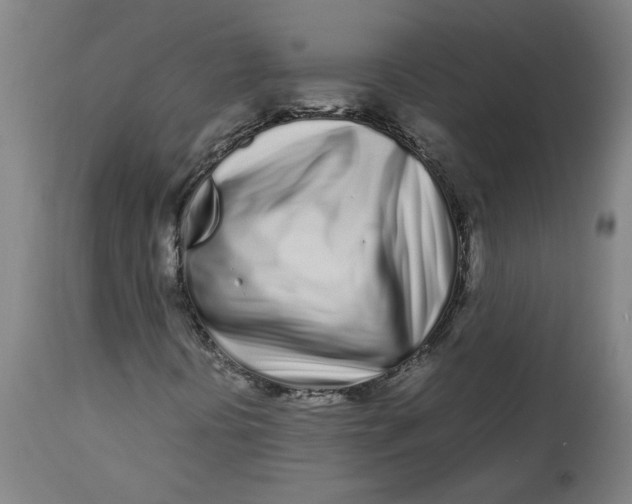 X0000112491394200909071210