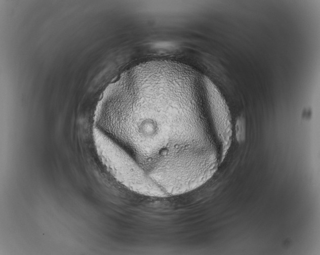 X0000112491395200909071210