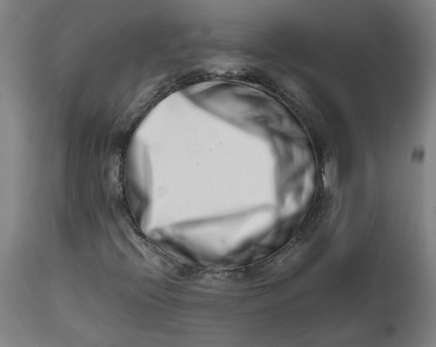 X0000112491396200909071210