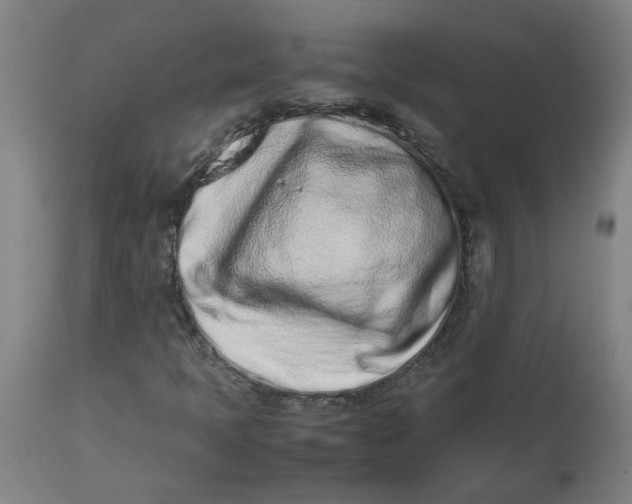 X0000112491397200909071210