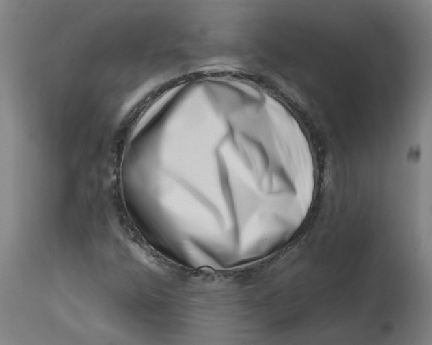 X0000112491400200909071210