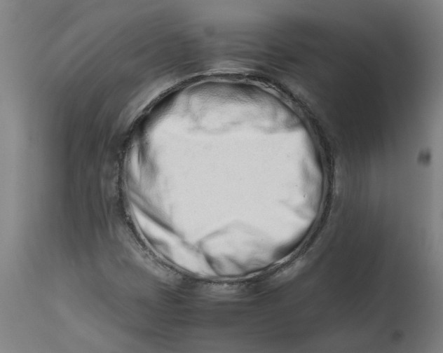 X0000112491401200909071210