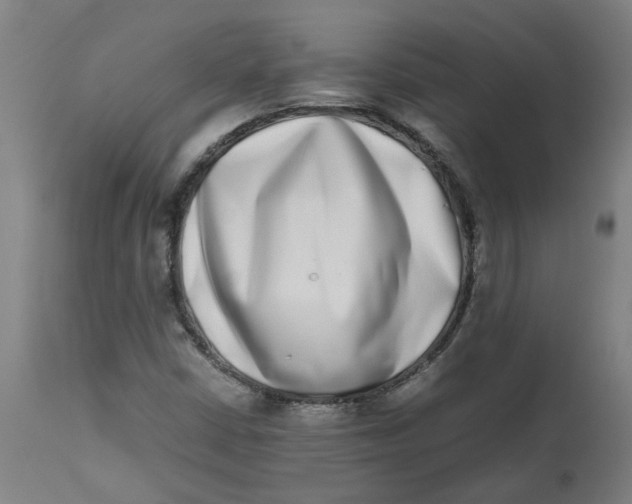 X0000112491402200909071210