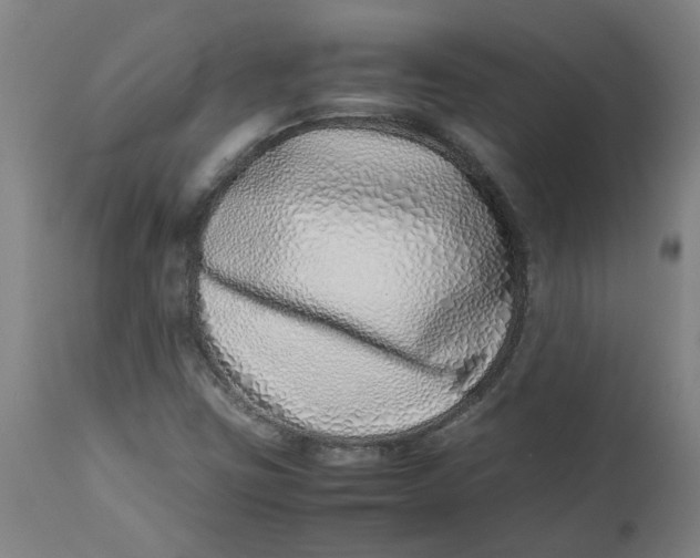 X0000112491403200909071210