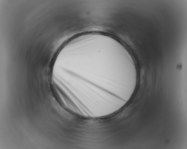 X0000112491404200909071210