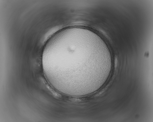 X0000112491405200909071210