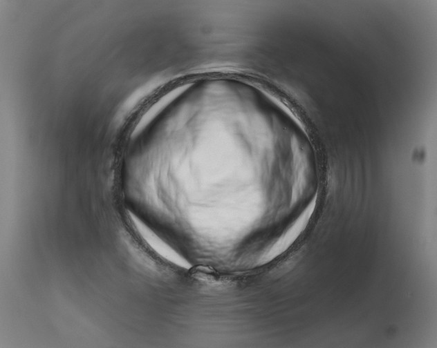 X0000112491406200909071210