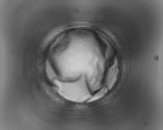 X0000112491407200909071210