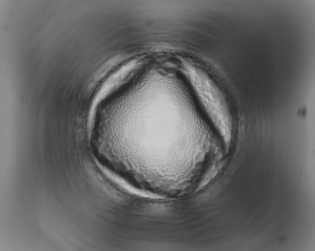 X0000112491409200909071210