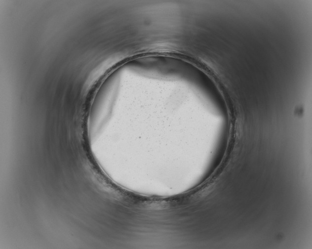 X0000112491410200909071210