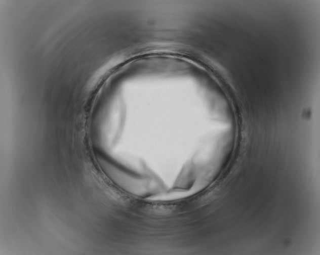 X0000112491411200909071210