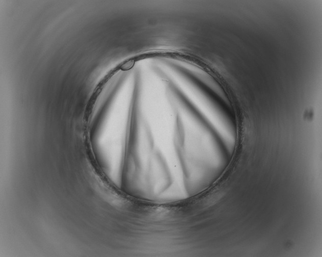 X0000112491412200909071210