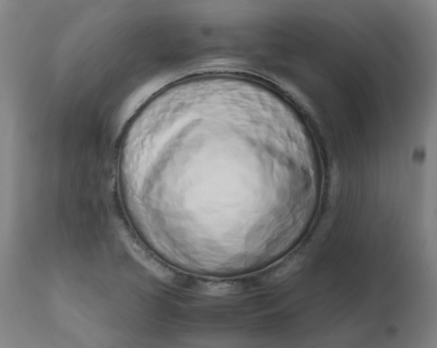 X0000112491413200909071210