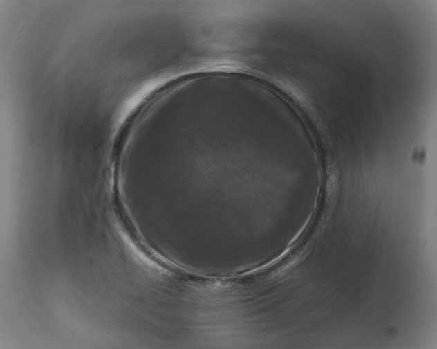 X0000112491414200909071210