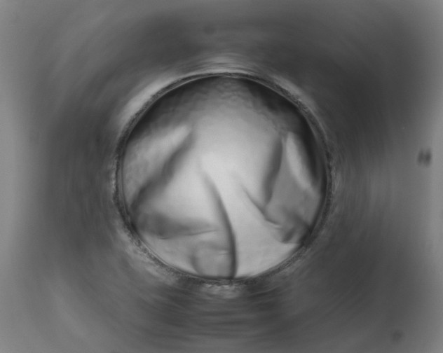 X0000112491415200909071210