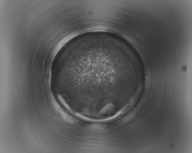 X0000112491418200909071210