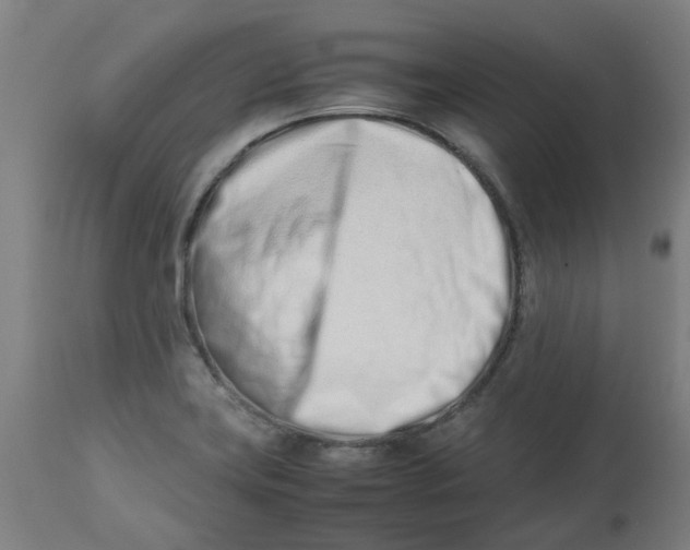 X0000112491419200909071210