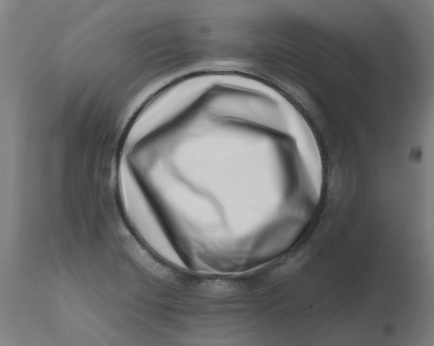 X0000112491420200909071210