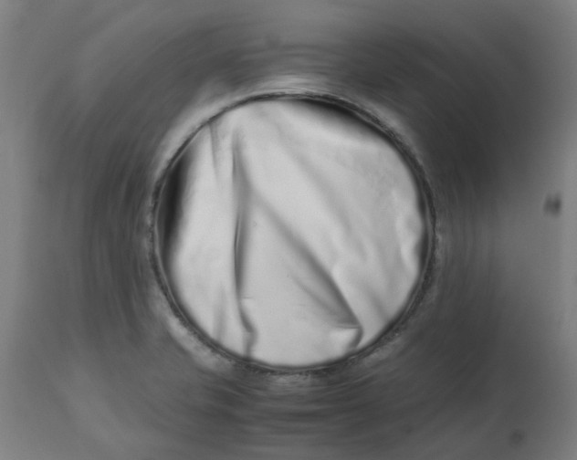 X0000112491421200909071210