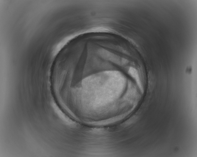 X0000112491422200909071210