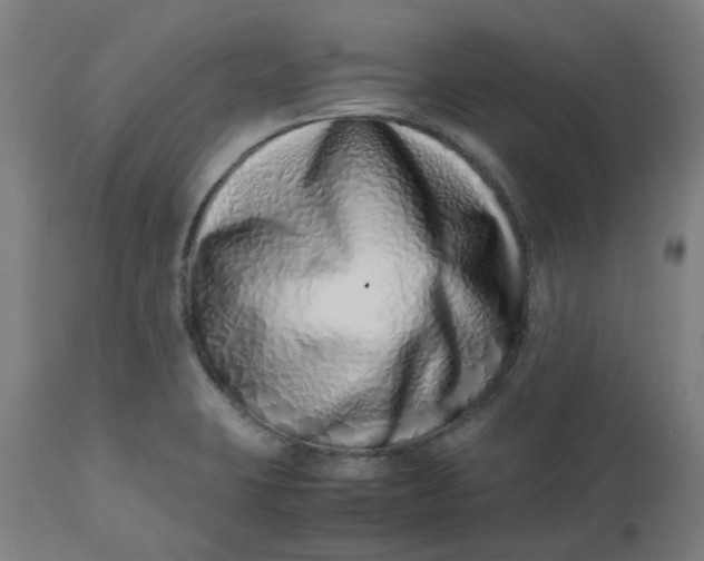 X0000112491423200909071210