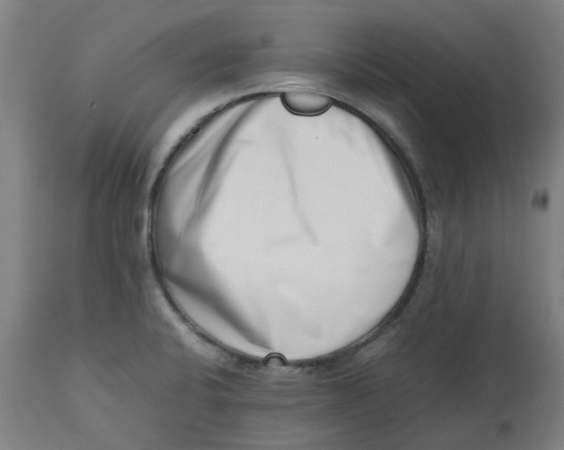 X0000112491424200909071210