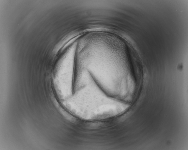 X0000112491425200909071210