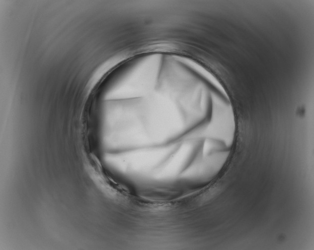 X0000112491426200909071210