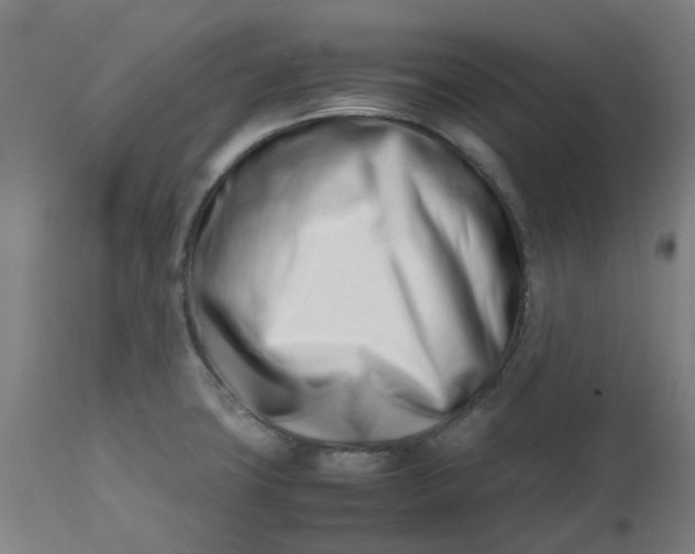 X0000112491427200909071210