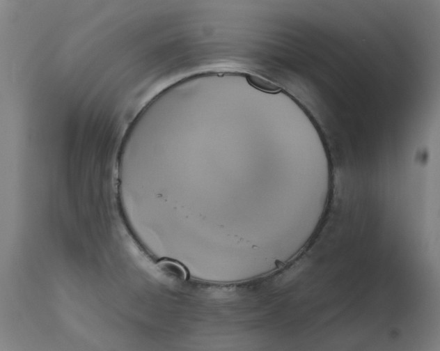 X0000112491428200909071210