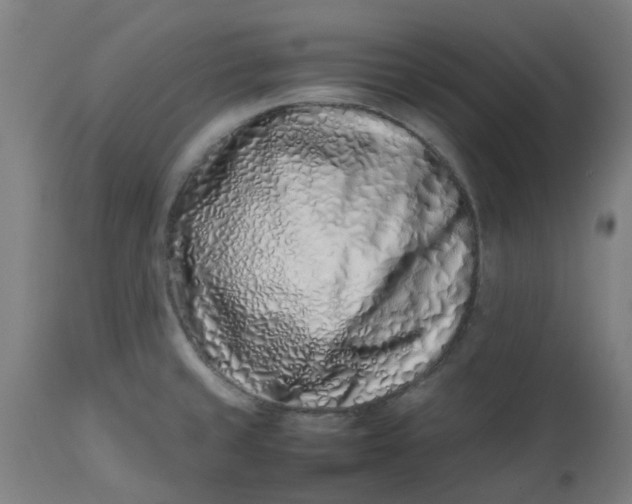 X0000112491429200909071210