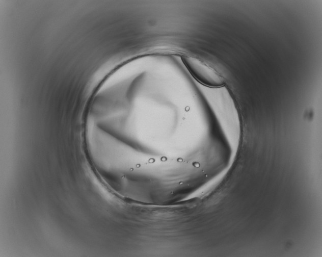 X0000112491430200909071210