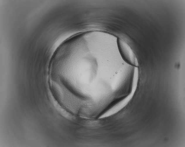 X0000112491431200909071211