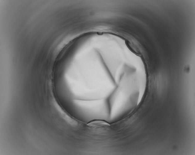 X0000112491432200909071211