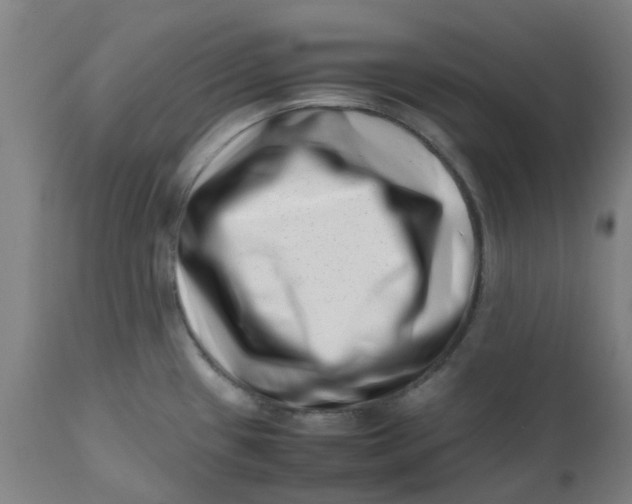 X0000112491433200909071211