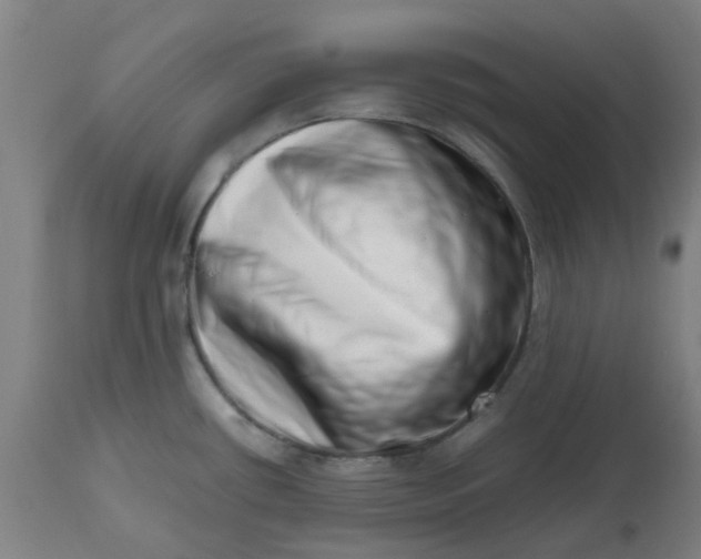 X0000112491434200909071211