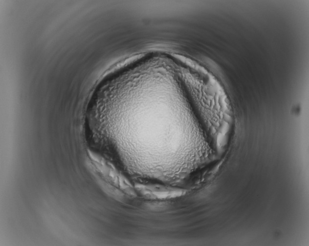 X0000112491435200909071211