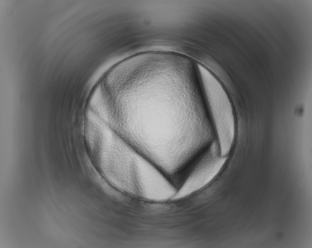 X0000112491436200909071211