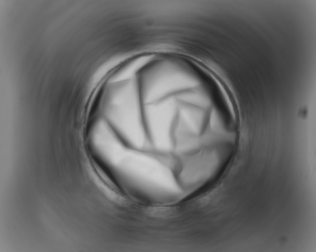 X0000112491437200909071211