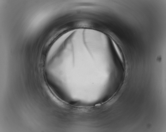 X0000112491438200909071211