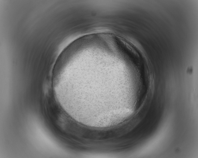 X0000112491439200909071211