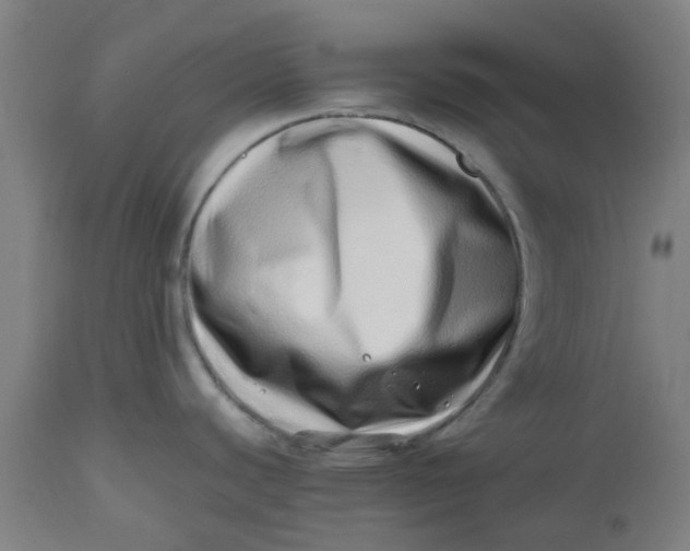 X0000112491440200909071211