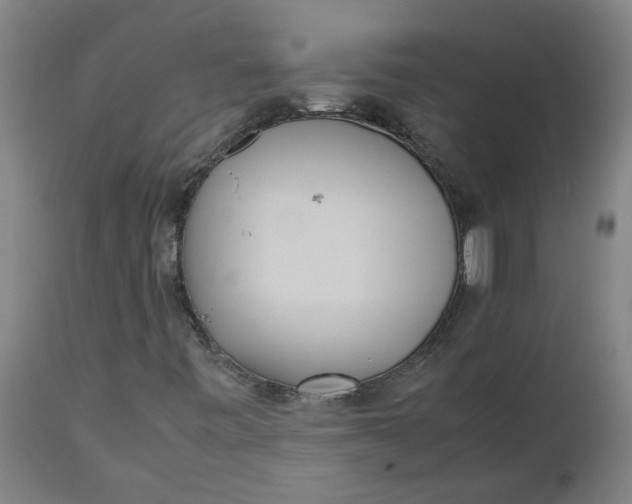 X0000112491443200909071210